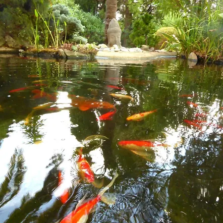 Babou ベッド・アンド・ブレックファスト 3*